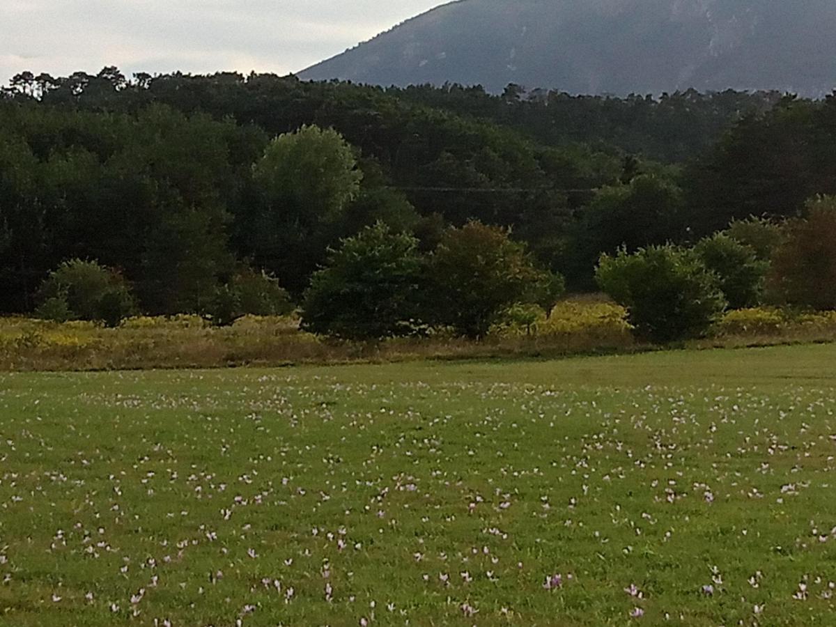 Montagne, Mer Et Verdon Séranon Exteriör bild