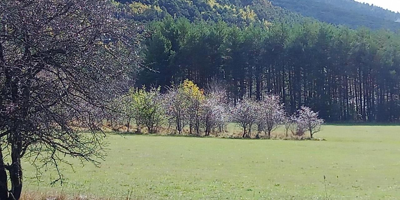 Montagne, Mer Et Verdon Séranon Exteriör bild