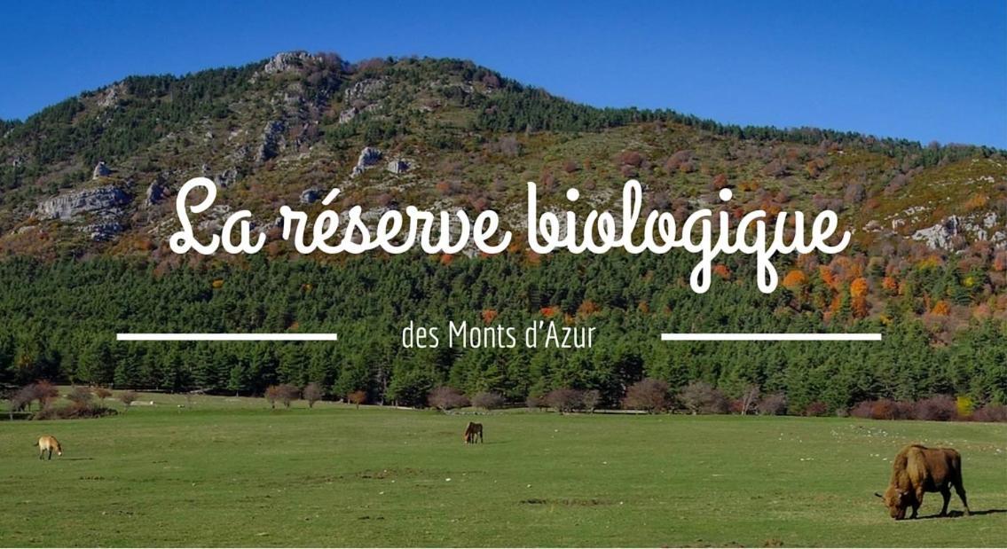 Montagne, Mer Et Verdon Séranon Exteriör bild